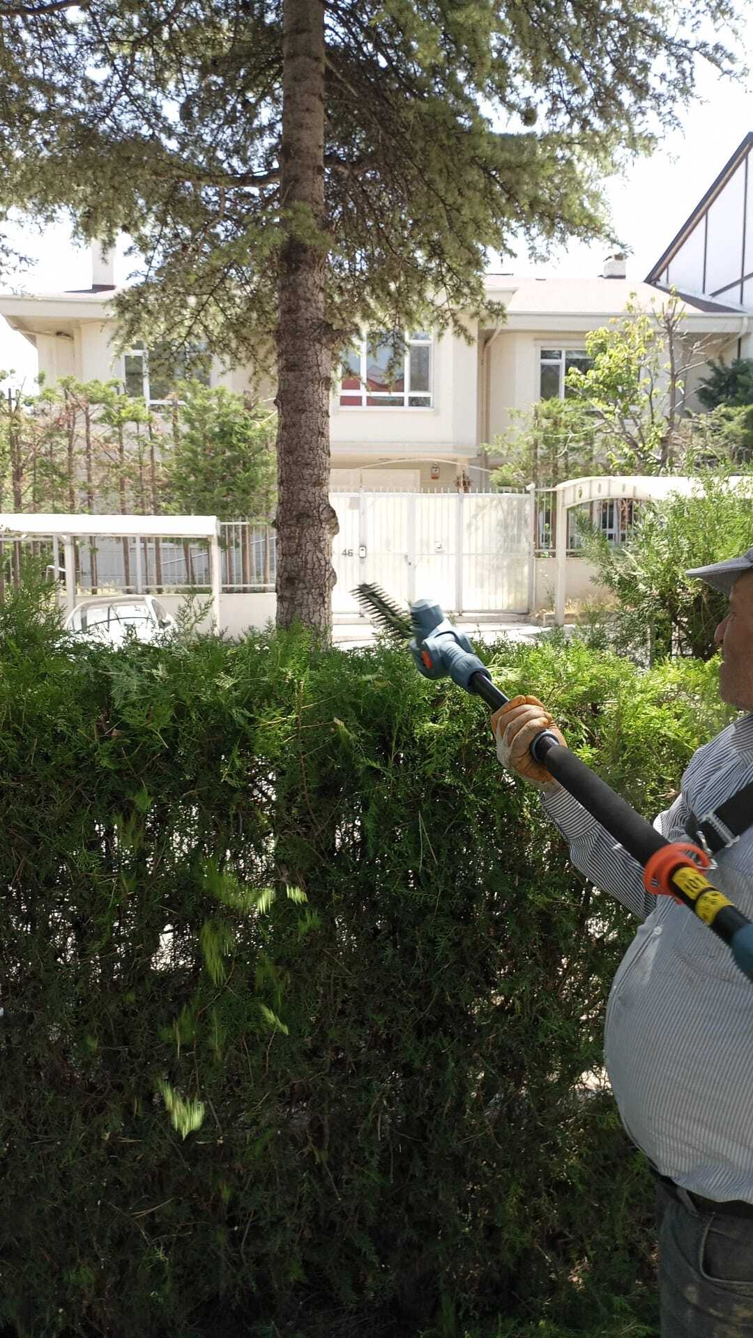 Bahçe budama çalışması